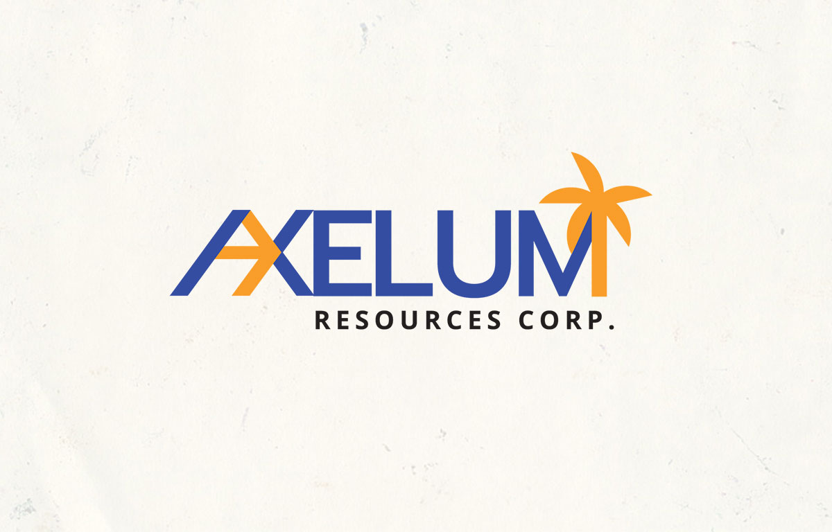 Fiesta Desiccated Coconut Shred Axelum Resources